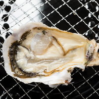 網焼きされるのを待つ恵比須牡蠣と生かきの写真