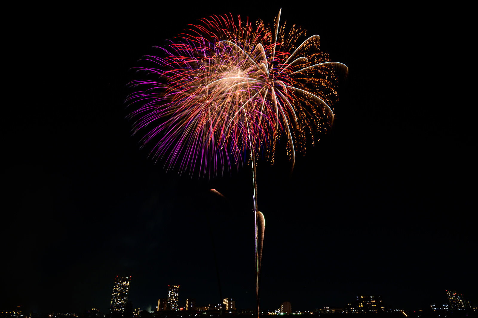 夜空に赤と紫の美しい花火が打ち上がり光が放射状に広がる