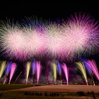 江戸川の河川敷で打ち上げられるピンク・紫のスターマインの写真