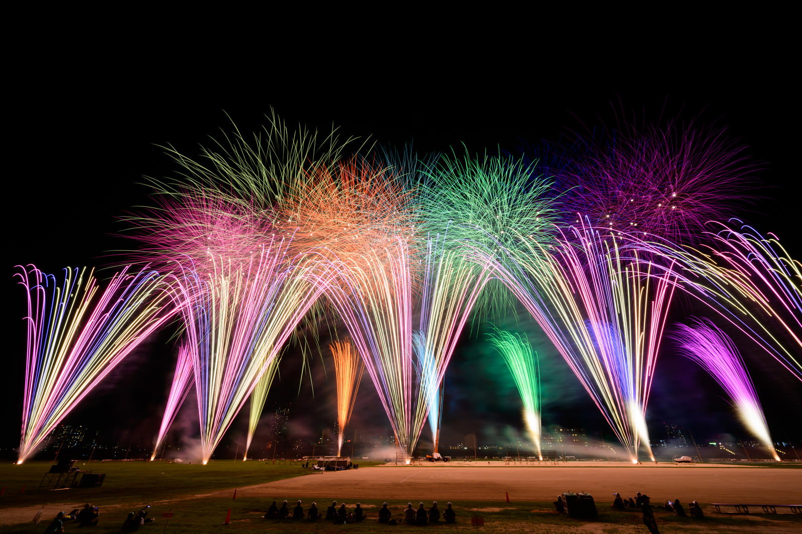 夜空に広がる打上花火・江戸川区花火大会