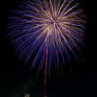 夜空に丸く大きく咲く青紫色の打上げ花火、夜間撮影の写真