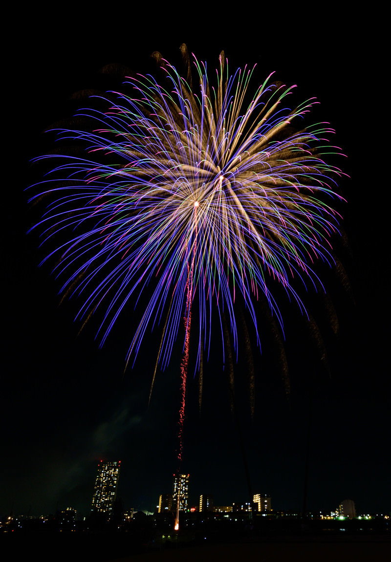 夜空に青と紫の光跡が放射状に広がる打上げ花火