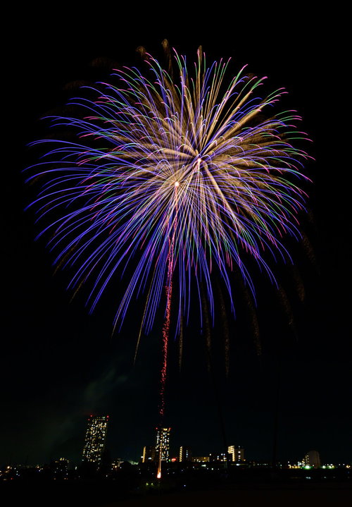 夜空に丸く大きく咲く青紫色の打上げ花火、夜間撮影