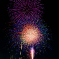 夜空に1発ずつ打ち上がる色とりどりの打上花火の写真