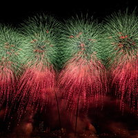 画面に収まりきらない迫力のある打上花火（江戸川区花火大会を招待席で撮影）の写真