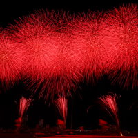 エキサイティング花火2019、江戸川区花火大会のスターマインの写真