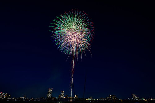 夜空を彩る花火大会の打上げ花火（江戸川区花火大会）