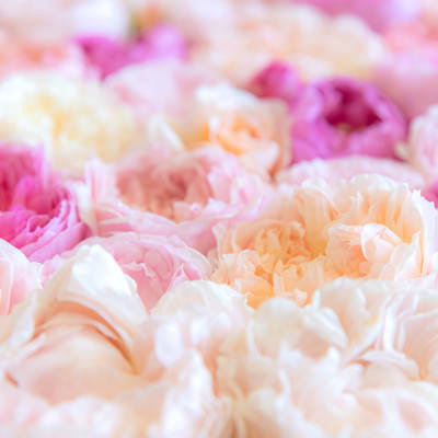 赤やオレンジ、紫、ピンクで彩る鮮やかな花のブーケのAI素材 - フリー