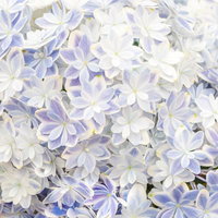 白と薄紫の紫陽花が密集したテクスチャー素材の写真