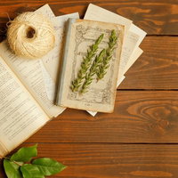 開かれた古書の上に置かれた麻縄と乾燥薬草の配置の写真