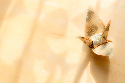 カメラ柄の折り鶴が日差しに映える日向ぼっこ