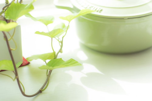 日中の日差しを受けたサツマイモの葉と緑の鍋