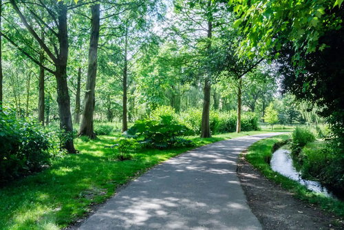 森林浴でリラックス、新緑の公園を歩く自然散策