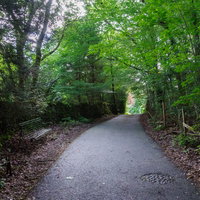 緑に覆われた寂れた遊歩道の古いベンチと柵の写真