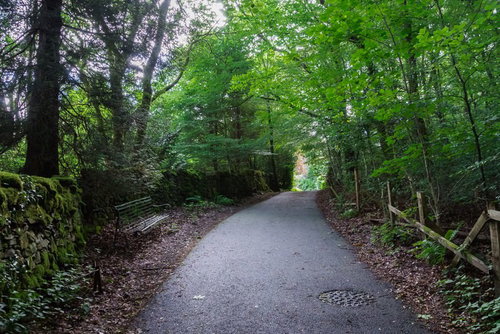 緑に覆われた寂れた遊歩道の古いベンチと柵