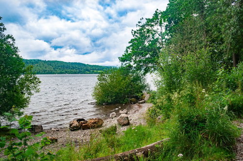 イギリス湖水地方のウィンダミア湖を望む遊歩道