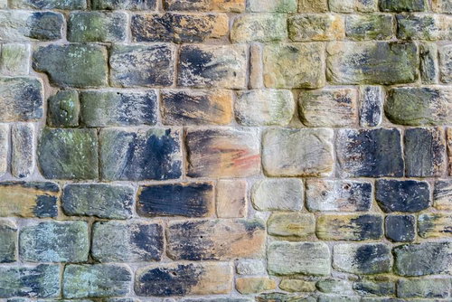 苔むした古いレンガ壁のテクスチャー写真