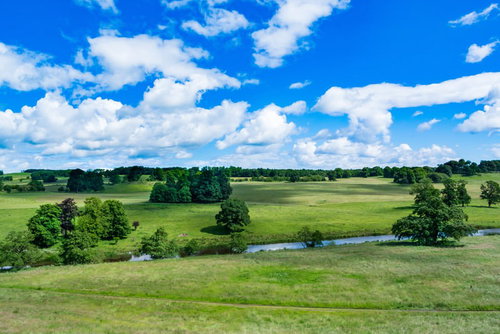 イギリス北部の草地を流れる小川と樹木のある公園風景