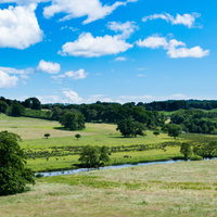 イギリス北部の広大な公園に広がるのどかな牧草地の景色の写真