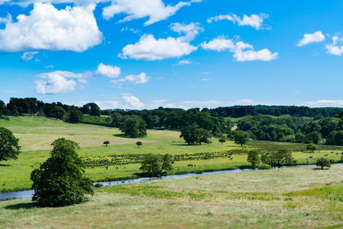 イギリス北部の広大な公園に広がるのどかな牧草地の景色
