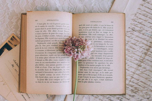 しおり代わりに挟んだドライフラワーと古書のページ