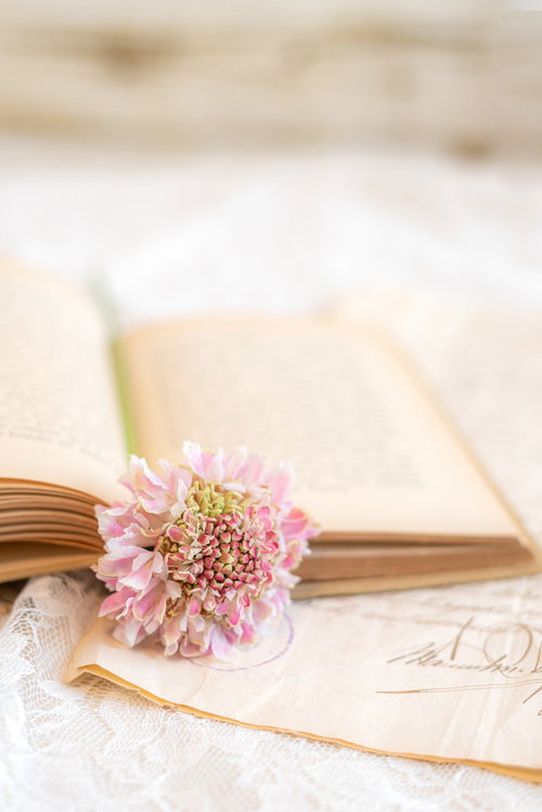 洋書のページに挟み込まれたピンク色の花とレースのしおり