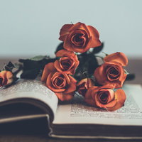 開かれた洋書の上に置いた赤い薔薇の花束とアンティーク古書の写真