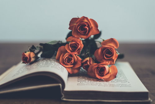 開かれた洋書の上に置いた赤い薔薇の花束とアンティーク古書