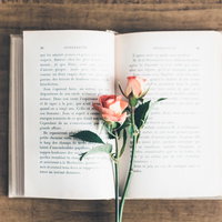 開いた洋書とピンクの薔薇、しおりが挟まるの写真