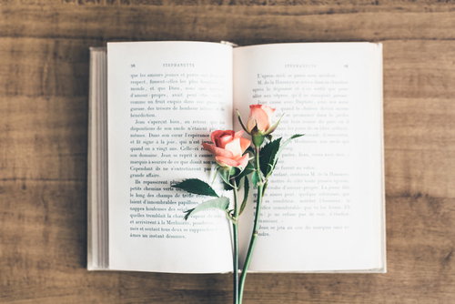 開いた洋書とピンクの薔薇、しおりが挟まる