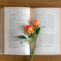 古書のページに挟んだオレンジ色の薔薇としおりの写真