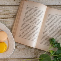 三色マカロンと開かれた古書で彩る読書タイムの写真