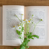 しおり代わりに置いた洋書のページと白い花の写真