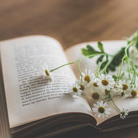 窓辺に置かれた洋書と白い花、木のテーブルで読書の時間の写真