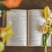 黄色い水仙に囲まれた読みかけの洋書の静物の写真