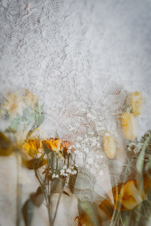 白いレース越しに見える黄色いドライフラワー