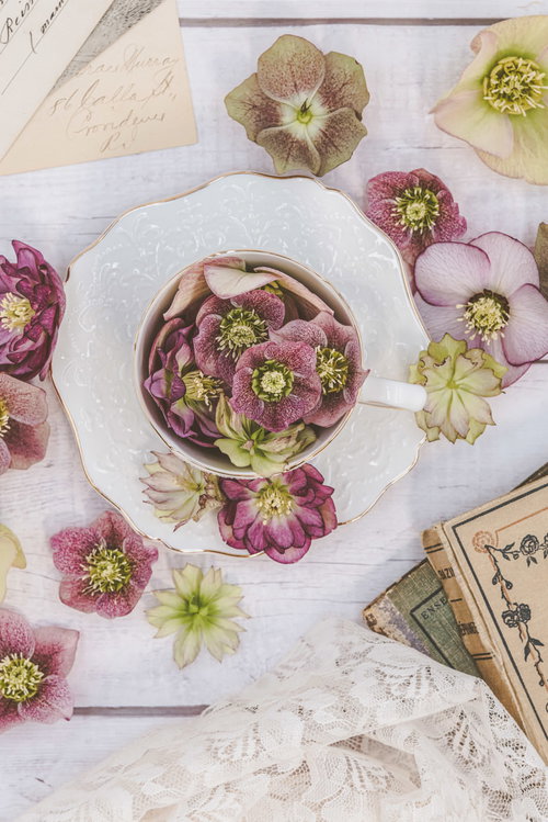 クリスマスローズが入ったティーカップとドライフラワー