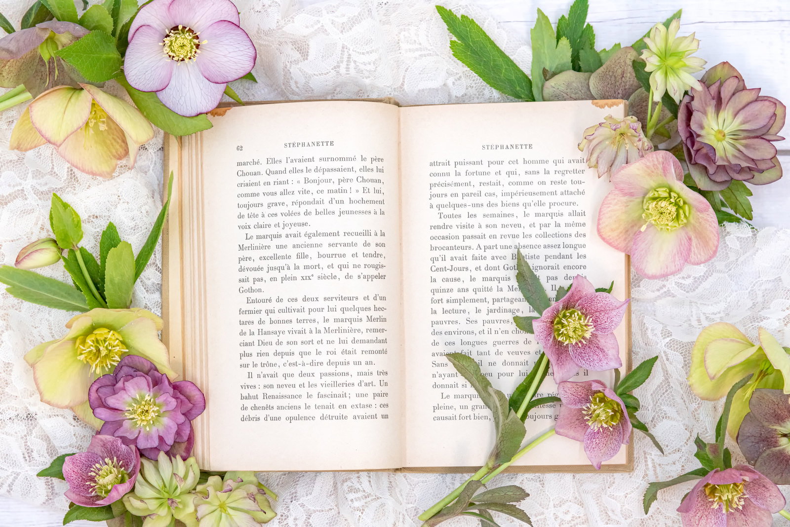 開かれた洋書の周りに白とピンクのクリスマスローズが配置された写真