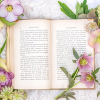 クリスマスローズと開かれた洋書のフラットレイの写真