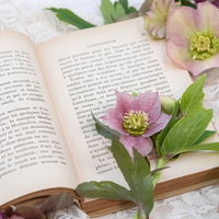 クリスマスローズと読みかけの洋書に添えた生花の写真