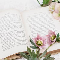 開かれた洋書の上に咲くクリスマスローズの花の写真