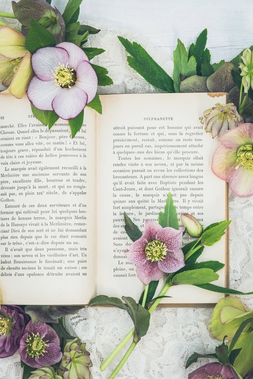 白やピンク色のクリスマスローズで彩る開いた洋書