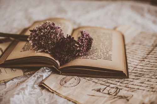 手紙の上に置いた古書とドライフラワーのスカビオサ