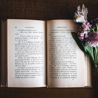 開いた洋書脇に置かれた紫色のスカビオサの生花の写真