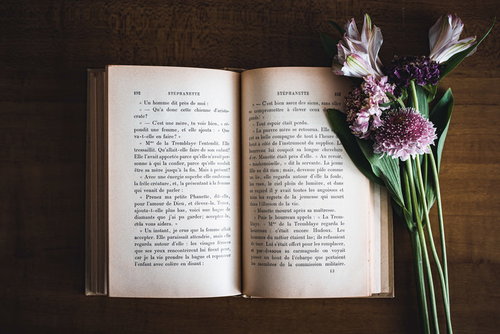 開いた洋書脇に置かれた紫色のスカビオサの生花