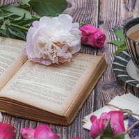 古書と手紙に添えたバラ、ティーカップのある読書時間の写真