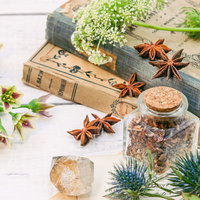 調合用に集められた生花と古書が並ぶテーブルの写真