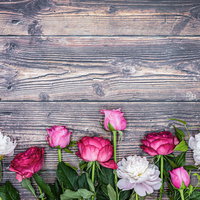 フローリングに並べたピンクと白の薔薇と芍薬の写真