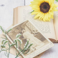 色褪せた古い写真と鮮やかな向日葵、洋書のページの写真