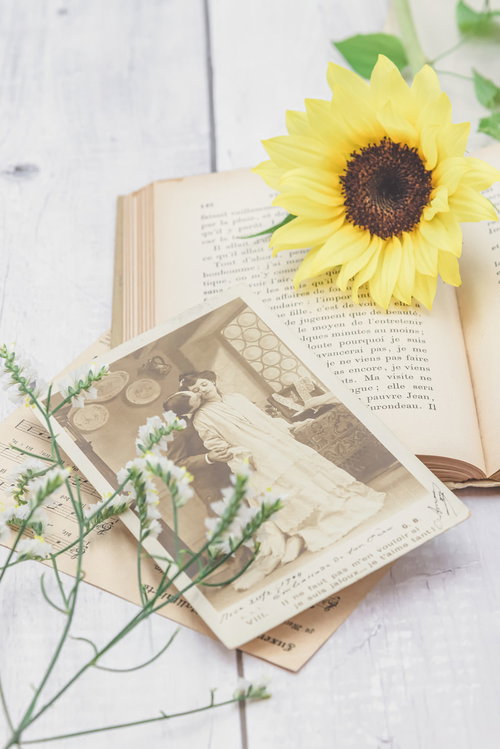 色褪せた古い写真と鮮やかな向日葵、洋書のページ